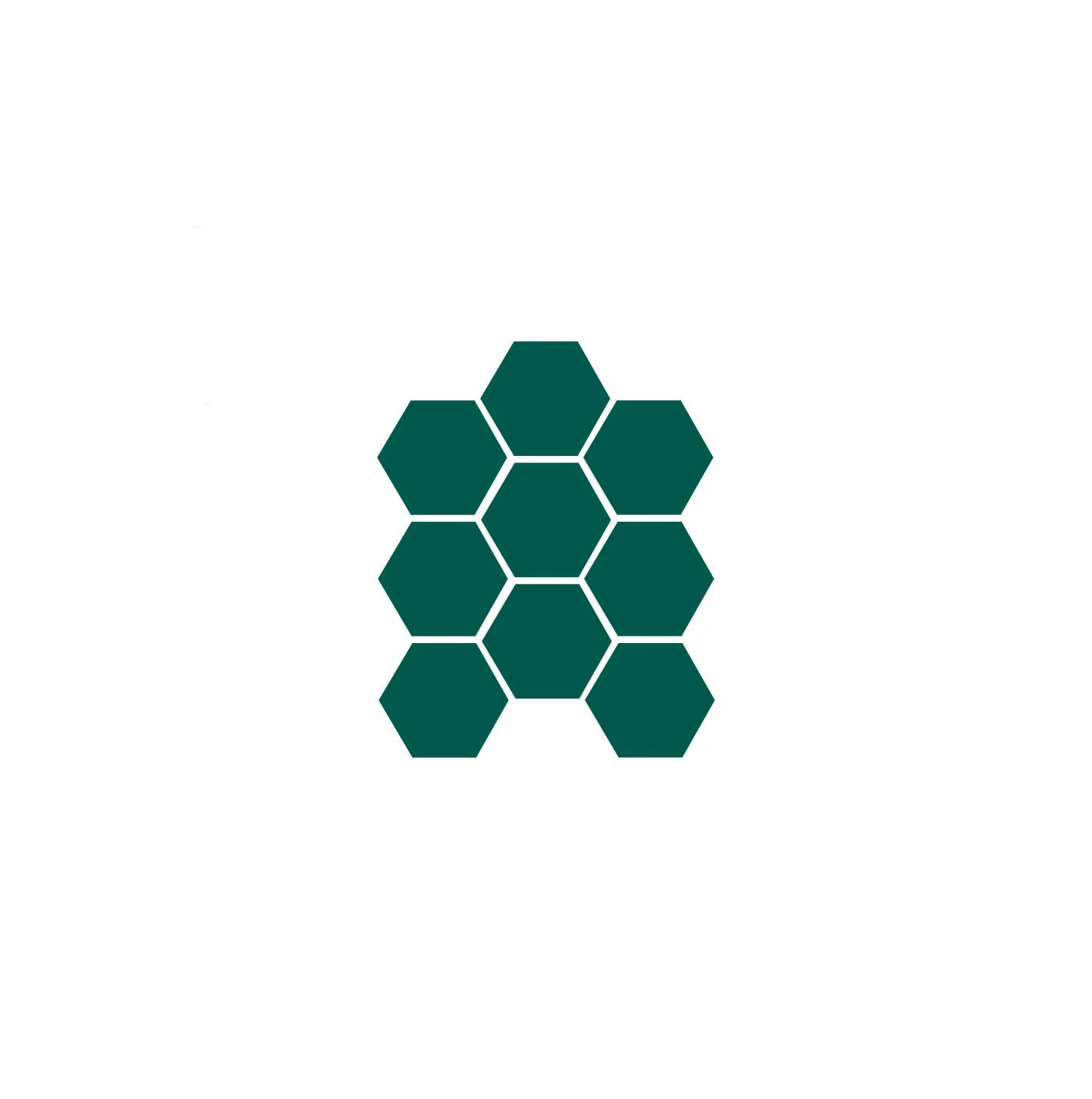 Modern Craftsman | Hexagon Tiles - Image 25